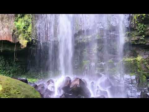 Barulho da Natureza para Relaxar
