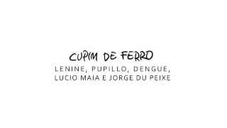 Vídeo de Cupim de Ferro