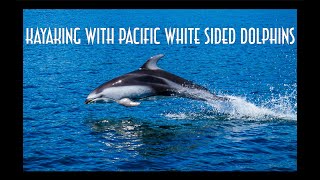 Kayaking with Pacific White-Sided Dolphins by Stephen 221 views 5 years ago 2 minutes, 53 seconds