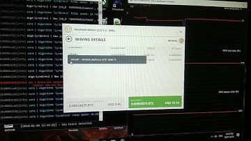 1 PALIT GTX 1050TI on Nicehash