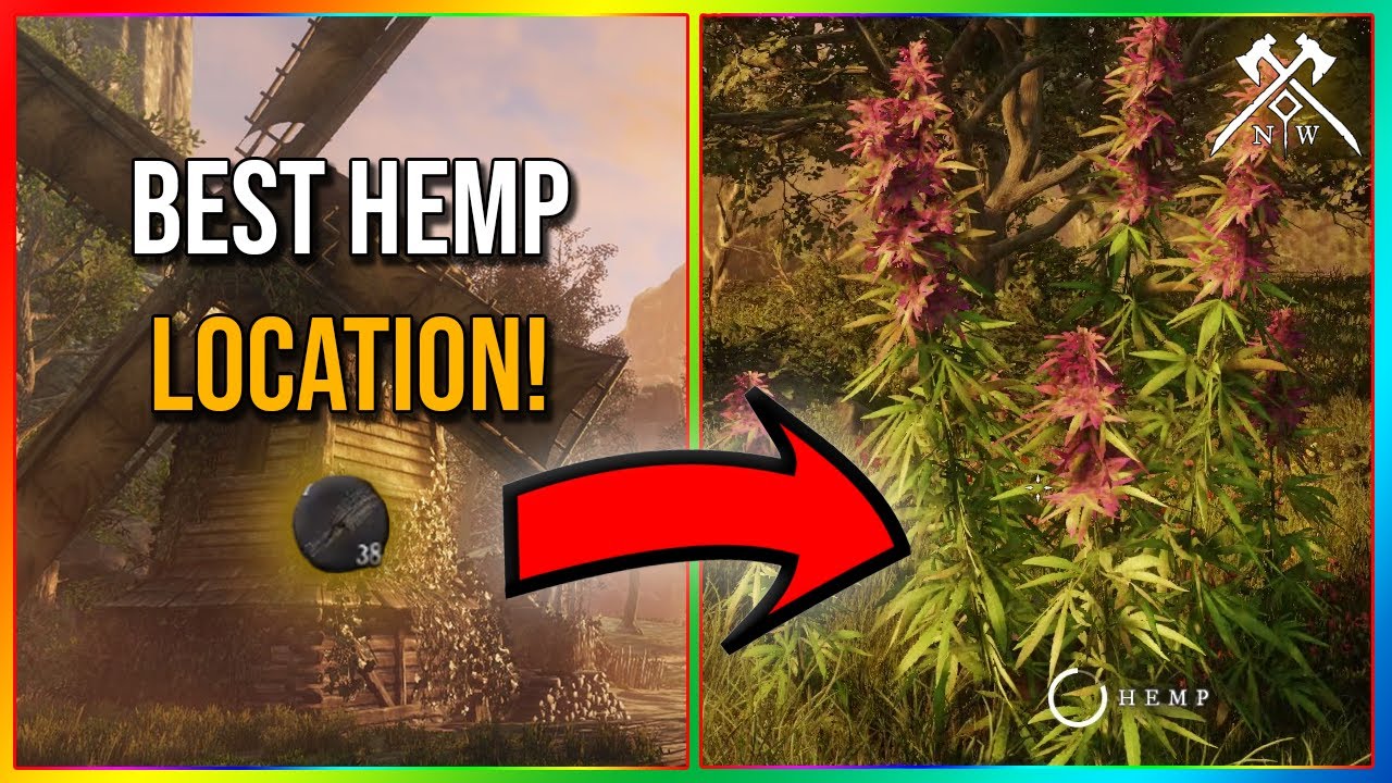 BEST HEMP LOCATION! NEW WORLD YouTube