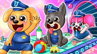 BUT BREWING CUTE BABY - BABY FACTORY || Very Happy Story || Sheriff Labrador Police Animation
