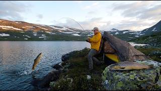Solo Camping and Fishing at a Remote Mountain Lake | Catch & Cook