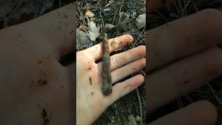 НАШËЛ НЕМЕЦКИЙ ПАТРОН #коп #копповойне #ww2 #хабар #находки #youtubeshorts #лес #вов #wald #digging