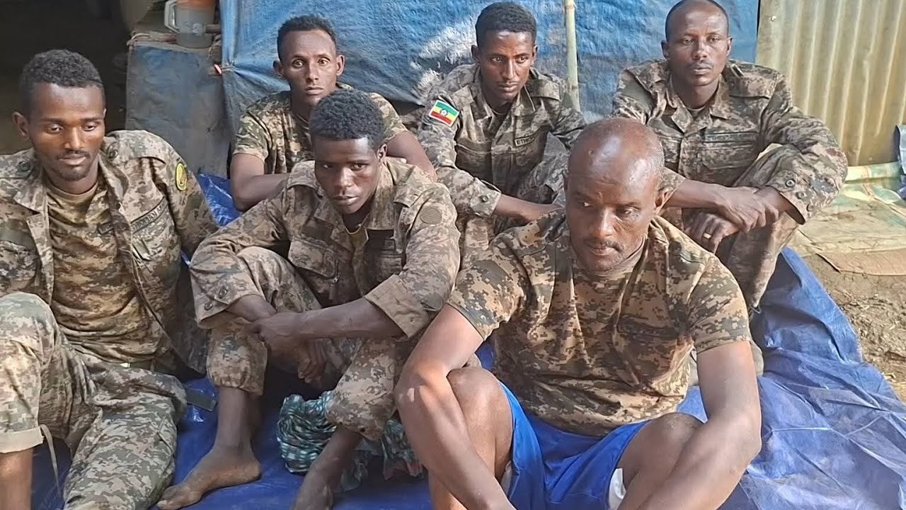 #የድል #ዜና #በዛሬው #ዕለት #ብዙዎቹ #ወደ #ፋኖ 