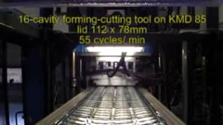 Dexter Mould Technology 16-Cav In-Mouldcutting Lid Tool.mpg