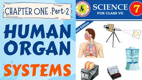 Chapter : 1  Human Organ system Part 2 ( Respiratory system) Sindh text Board