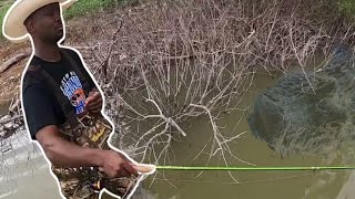 Catch HUNDREDS Of Spawning Crappie Using This EXTREME Technique
