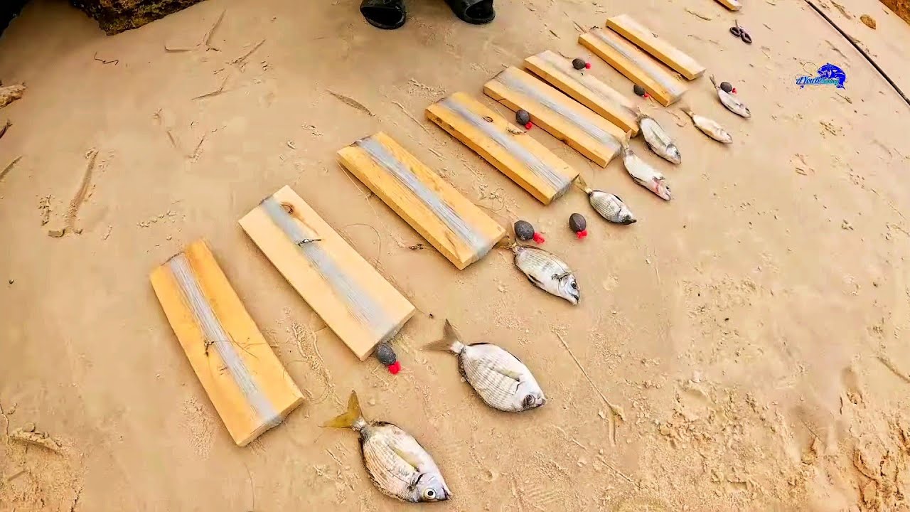 لا يفوتك الفيديو شرح مفصل لأفضل طريقة لصيد السيبيا من الشاطئ بمعدات جد بسيطة  CUTTLEFISH - SIPIA