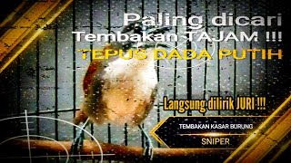 Download Lagu \ MP3 Download Lagu \ MP3