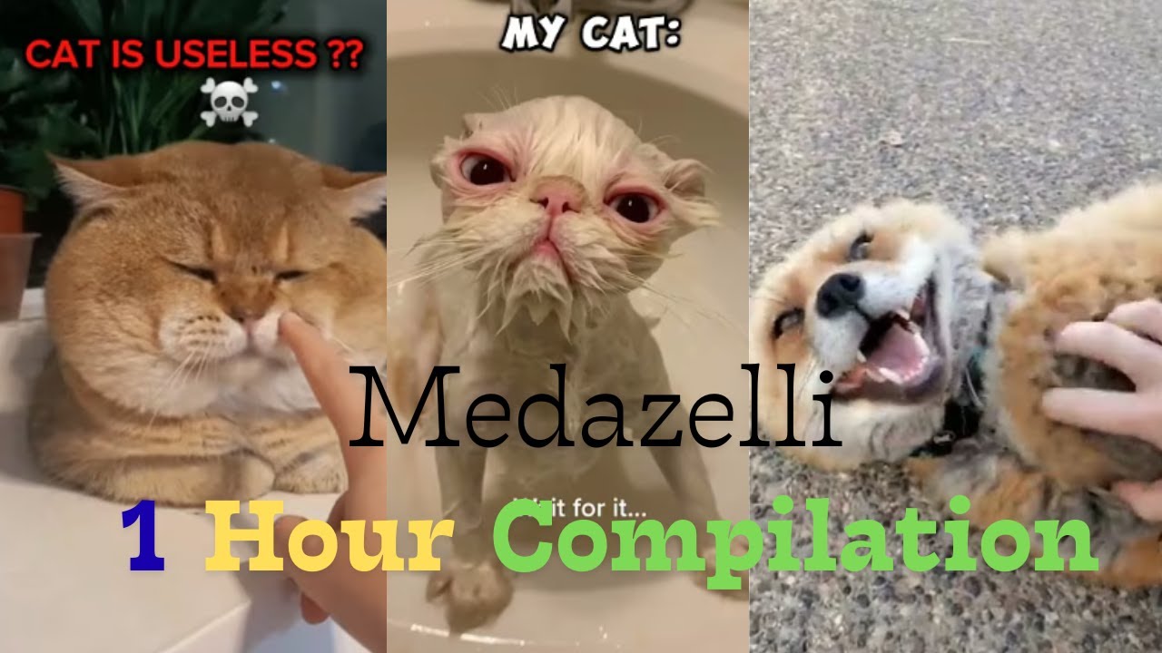 Medazelli TikTok Compilation 1 Hour