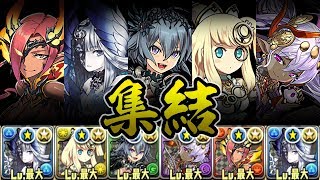 【超高級】編成難易度、壊滅級！これが真の大魔女パです。【パズドラ】