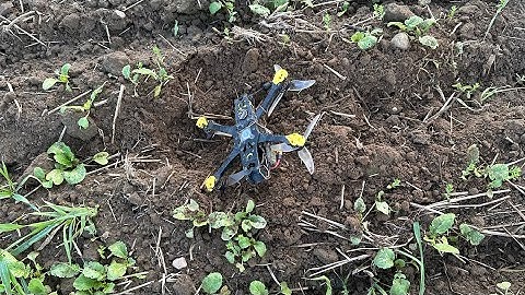 FPV — The fall … in more than just one aspect…