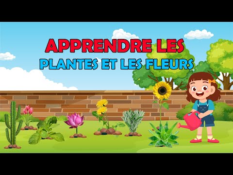 Vidéo: Les noms de fleur de bébé fleurissent en popularité