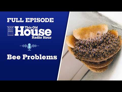 Bee Problems, Solved + A Secret Speakeasy House Tour + Why Contractors Walk Away