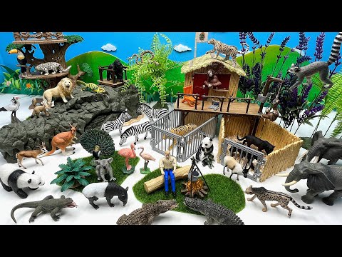Building Crocodile Villages Diorama For Wild Animals | 악어 마을 디오라마 동물 피규어