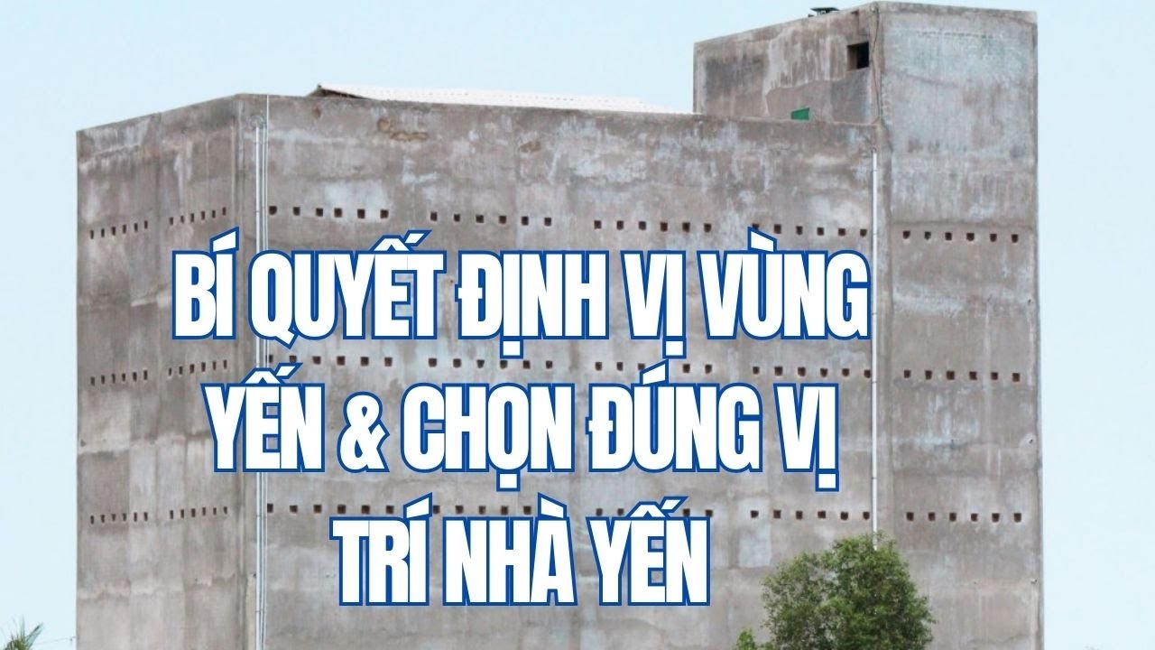 Bí quyết định vị vùng yến & chọn đúng vị trí nhà yến
