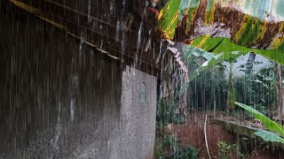Fall Asleep During Heavy Rain During the Day, Thunder and Rain Sounds Are So Comfortable