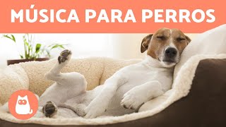 MÚSICA PARA DORMIR PERROS 🐶 💤 ¡Relaja y mejora la ansiedad!