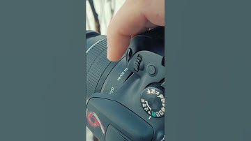How to Auto Focus | Auto Focus for Beginners Part 1