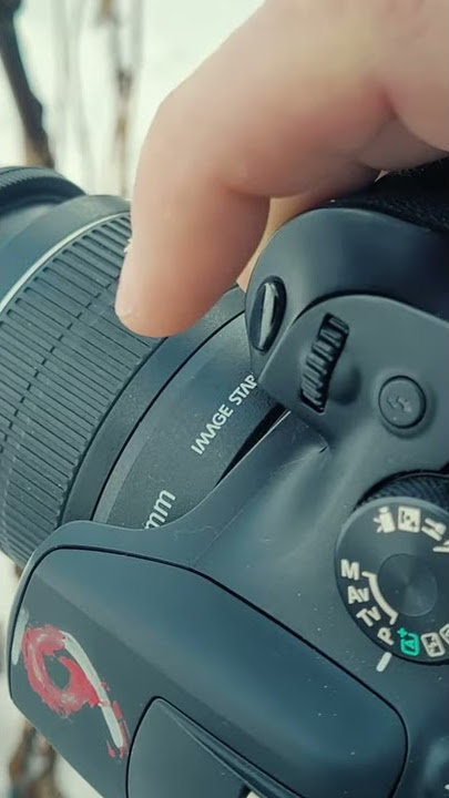 How to Auto Focus | Auto Focus for Beginners Part 1