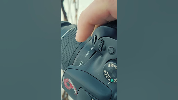 How to Auto Focus | Auto Focus for Beginners Part 1