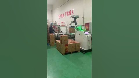Automatic Cobot Palletizer Carton Case Bag Collaborative Robot Palletizer Stacking Machine