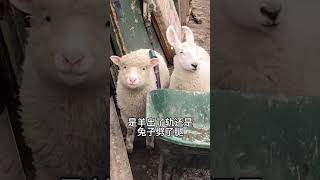 Dont Check The Sound  Daily Ultra Kwangsoo