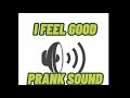 I FEEL GOOD PRANK SOUND🤣🤣SO GOOD!