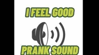 I FEEL GOOD PRANK SOUND🤣🤣SO GOOD!