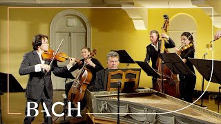 Bach - Allegro from Violin concerto in E major BWV 1042 - Sato | Netherlands Bach Society
