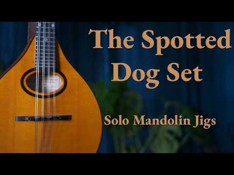Live performance of Song Title