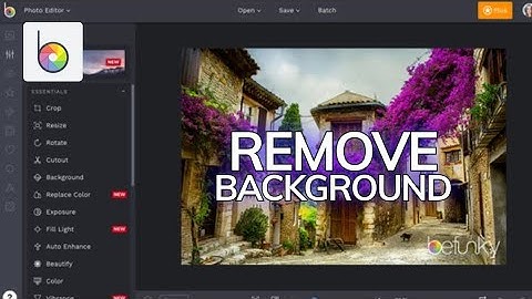 How to Remove Background in Befunky 2025?