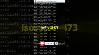 lsof shows you files you didn't know were open #linux #devops