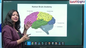 Want to REVOLUTIONIZE Your Classroom? AI Smart Interactive Flat Panel for Teachers