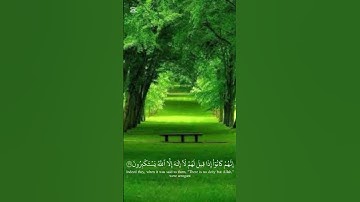 تلاوة رائعة من سورة الصافات 🕋🍃أحمد النفيس 🕋🍃