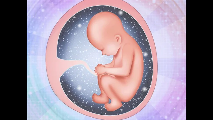Conversations with Spirit Baby - Your Soul Guide t...