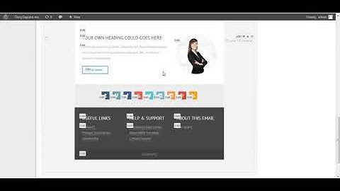(Mailster Template) Arini in Mailster powerful editor