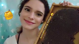 ASMR | Trying a Huge Honeycomb 🍯 (Messy) | ilegna ASMR