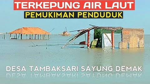 Dusun Tambaksari Bedono Demak yang terkepung banjir rob