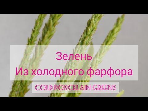 Greens, Grass, Spikelets / Cold porcelain / A simple, realistic way / For beginners