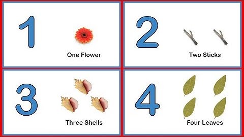 Learn Numbers and Counting 1 to 10 Flashcards | Number Names for Kids