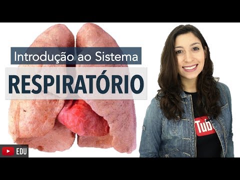 Vídeo: Anatomia, Diagrama E Função Do Sistema Respiratório - Healthline