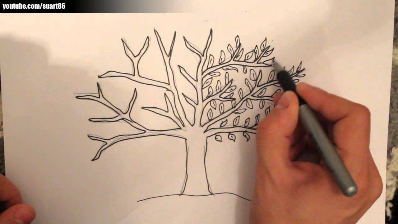 Dibujo árbol seco