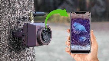 Connect 2nd Mobile Phone to WiFi Bird Box Camera