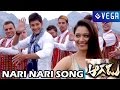 Aagadu Movie - Nari Nari Song - Mahesh Babu, Tamanna