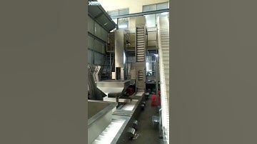 Double hopper loading tank feeding Z type lifting feeding machine