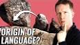 The Origins and Evolution of Language ile ilgili video