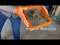 Intiñan Museum - Quito, Ecuador | iPhone 13 Pro Max | 4K