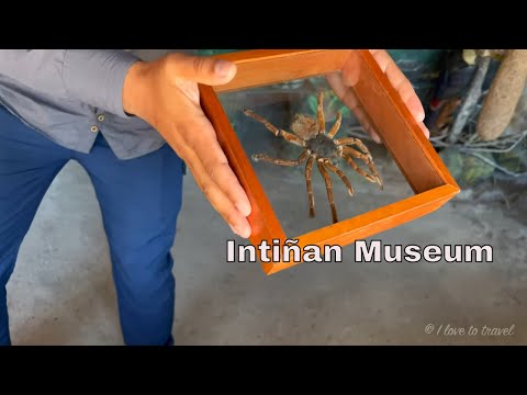 Video: Quito, Ecuadors bästa museer